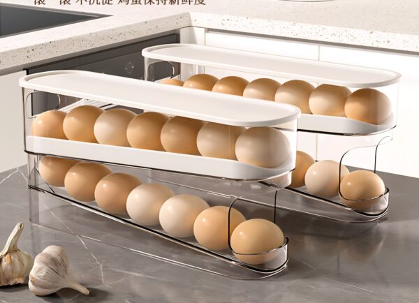 Egg Storage